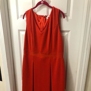 New York and Company